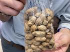 Boiled peanuts are a quick and tasty snack in Botswana!