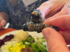 Do you remember what this is? It's a mopane worm!