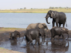 Time for a bath and a nice, big drink of water!