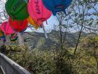 View from a Buddhist shrine I hiked to