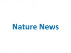 Wildlife and how environmental factors influence the distribution of life