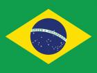 Brazilian Flag