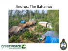 My home for a year in Andros, the Bahamas, while I worked on a conservation project