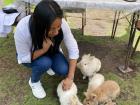 At one of my favorite "almuerzo" restaurants where there are about 50 bunnies who keep you company while you eat!