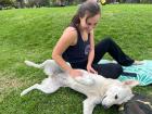 A street dog who came over for some pets while we were at the park