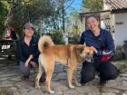 This dog walks several miles every day to a hostel, where he knows he will get food