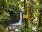 In the cloud forest Mindo, there is a hike you can do that will take you to 7 different waterfalls, all of which you can swim in!