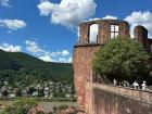 Krista: Looking out over the river from the ruins of Heidelberg Castle