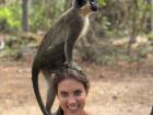 Many monkey species are native to West Africa. I've met baboons, patas, red colobus and green monkeys while I've been here. They are often viewed as nuisances to farmers as they like to steal crops. But I think they're really friendly! Clearly!