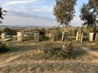 A few of the school latrines