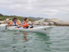 Sea kayaking to look for penguins