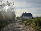 The view of my street, and one of the stray dogs, in the village where I live 