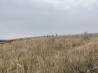 Walking through the muddy hills 