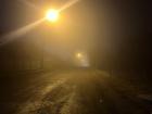 A foggy walk home
