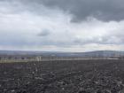 One of the fields near my house 