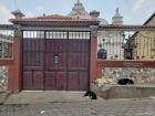 I was walking one day and saw these cute dogs sleeping right outside this church. They looked so peaceful