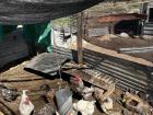 My family's chicken coop