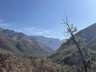 Maliba ("Ma-dee-ba") Lodge is another place in Lesotho where people work to protect bearded vultures. Drew and I visited last November, but we didn't see any!