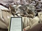 Kobo joining me while I read! I read 42 books last year