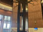 Statue of Senegal's sacred Baobab tree in the Museum of Black Civilizations