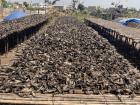 Fish drying in the sun before being sold to markets