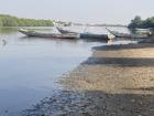 Pirogues in a river estuary filled with mangroves