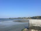 One of many beaches in Tallinn - when I first arrived, they were very crowded!