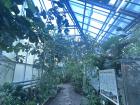 One of the rooms inside the Greenhouse at the Botanical Garden