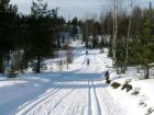 In Tallinn, there are a few parks that people go to practice Cross Country Skiing!