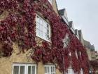 Another Oxford picture... the U.K. is beautiful in the fall!