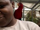 Lory on my shoulder!