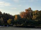 Olympic Park