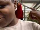 Lory relaxing on my shoulder