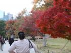 Walking through Olympic Park