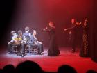 The "flamenco" show opened with all the dancers, singers and a guitarist on stage