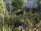 Part of the large garden that makes up the Alhambra 