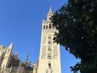 A different view of la Giralda with some orange trees turning more orange