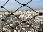 From the top of the Giralda, I could see all of Seville! 