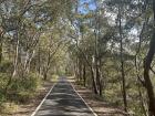 The path where we saw many kangaroos