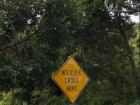 Wildlife Crossing sign on a road in Australia