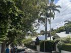 A street in Sydney with a lot of trees