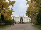 Main university building, with yellow leaves framing the walkway