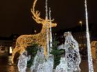 A reindeer, penguins and polar bear made out of Christmas lights