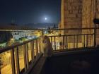 Andres's pet cat, Otto, relaxing on his home patio by the moonlight 