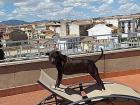 Andre's dog Bimba and the view from the roof of Andres's home