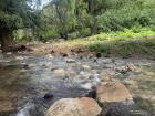 A creek in the mountains of Oaxaca 