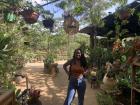 At a beautiful restaurant that used native plants as decoration