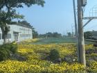 One of my friend's photos from Jeju