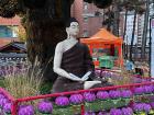 Buddha statue surrounded by beautiful lotus lanterns