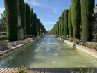 A large fountain surrounded by cypress trees in one of the Alcázar gardens